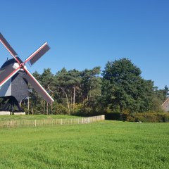 Molen even op rust 