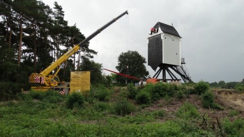 Terugplaatsen van roeden