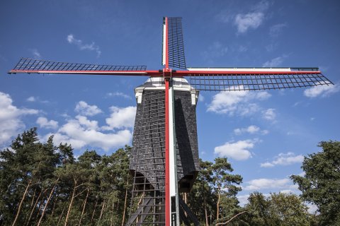 Bezoek opnieuw de Beddermolen!